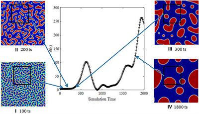 Quantitative Analysis of Phase Separation Using the Lattice Boltzmann Method